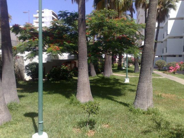 Appartamento El Palmar *